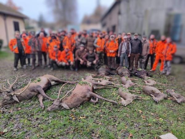 TRES BELLE CHASSE GG DU LUNDI Dourdan Essonne