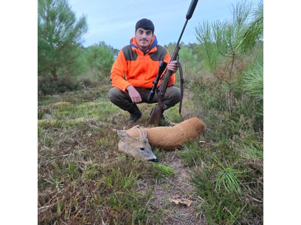 CHASSE A L’ARC - CHASSE A TIR - Saison 2025-2026 - AFFÛT ET APPROCHE aux grands gibiers, en FORET DOMANIALE DE BERCE, département 72, sur un territoire de 1100 hectares