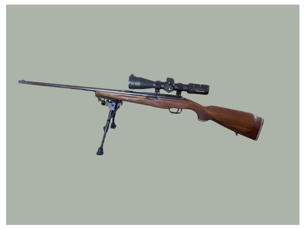 Carabine REINA 450