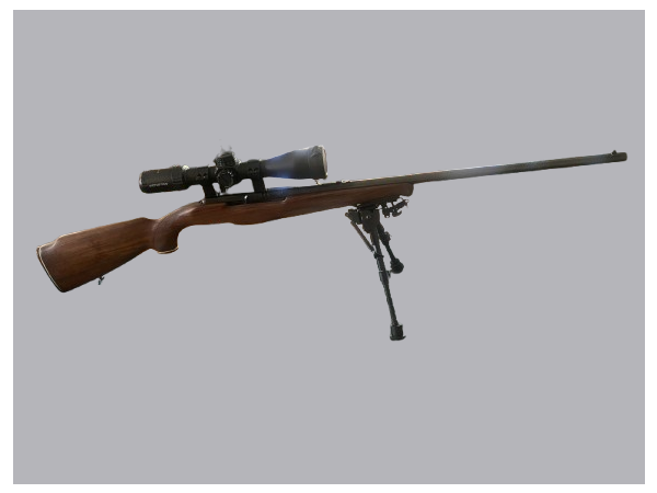 Carabine REINA 450