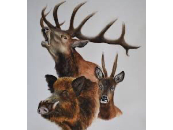 Bague de Daguet et biche