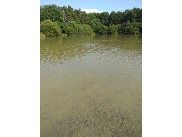 Chasse Sologne Loiret
