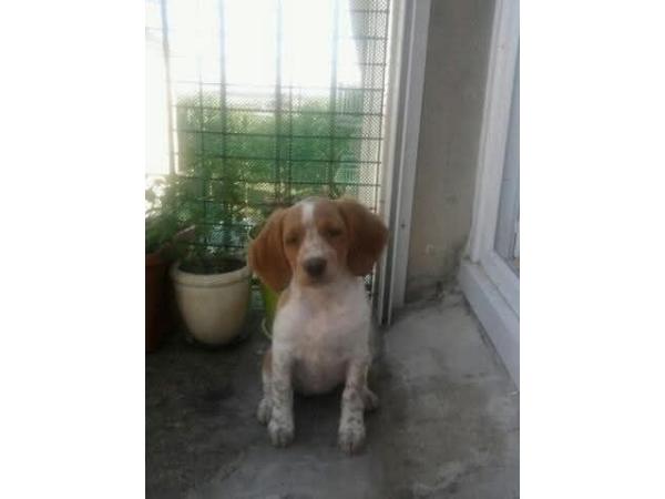 Recherche