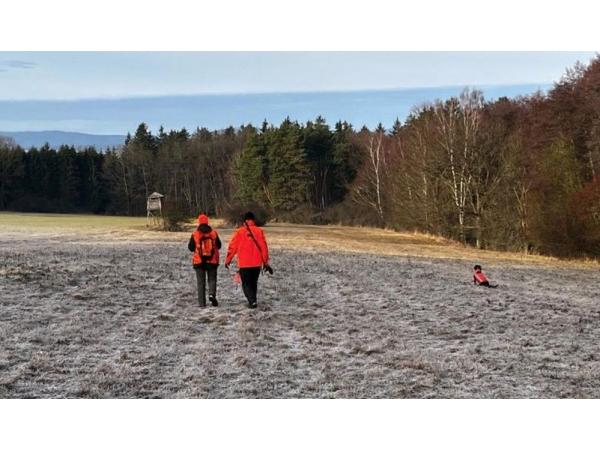 Chasse en battue en République tchèque. Dernières places disponibles à un prix spécial.