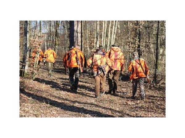 Action chasse Grand gibier en semaine