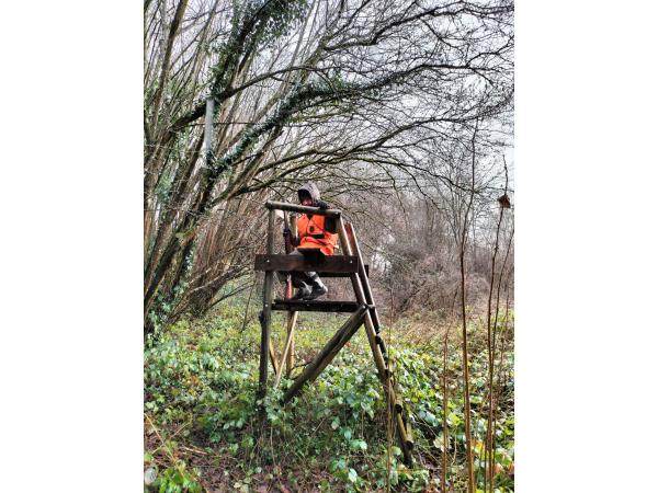 Action de chasse