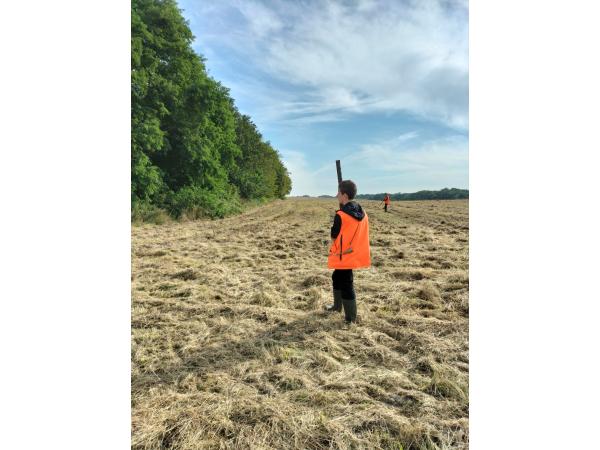 Action de chasse