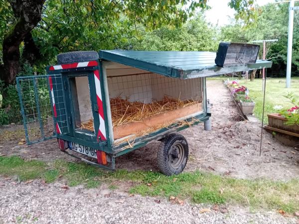 remorque pour chiens