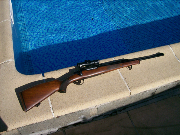 carabine 300 wing mag