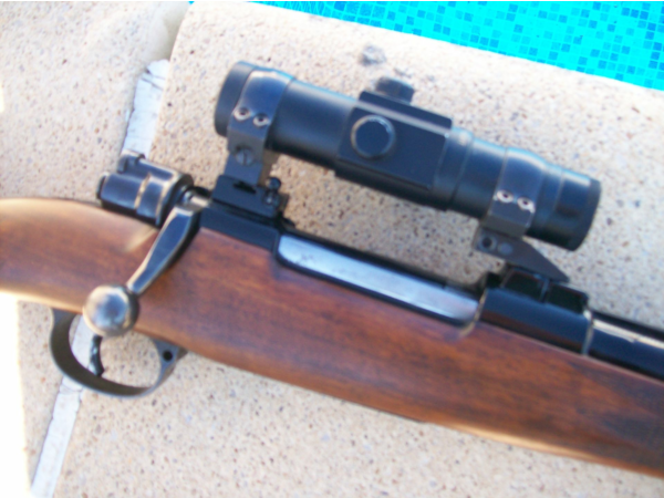carabine 300 wing mag