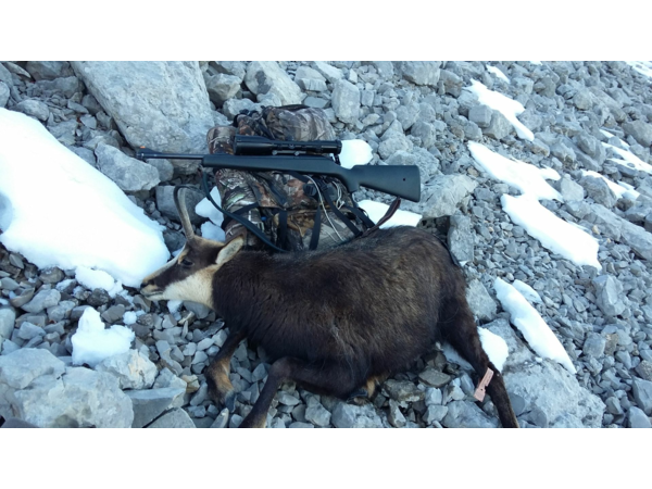 Cherche et Achète Express en 375H&H, Drilling en 20 et BLASER S2 ou D99