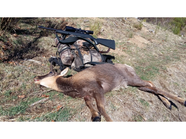 Cherche et Achète Express en 375H&H, Drilling en 20 et BLASER S2 ou D99