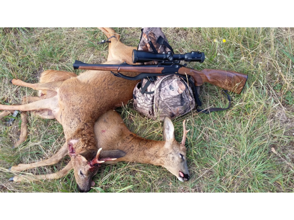 Cherche et Achète Express en 375H&H, Drilling en 20 et BLASER S2 ou D99