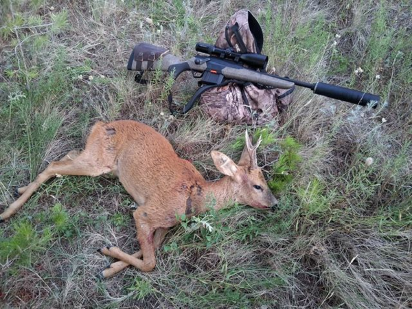 Beretta BRX1 RANCH en 308 Winchester