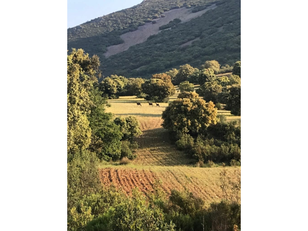 Monteria avec petit groupe franco belge