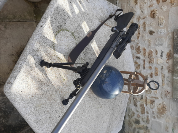 CARABINE RUGER M77 HAWKEYE 338 WIN MAG