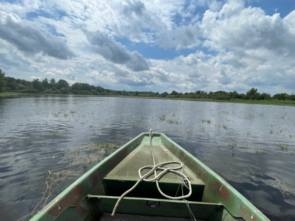 Propriété de chasse en Brenne (36)