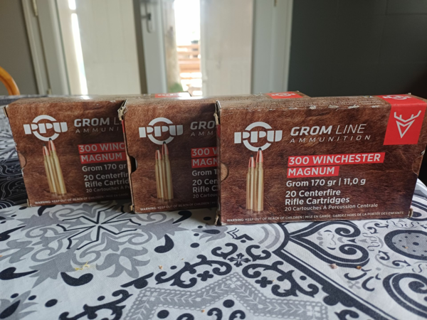Munitions PARTIZAN GROM 170gr-11.0G calibre 300 WIN MAG