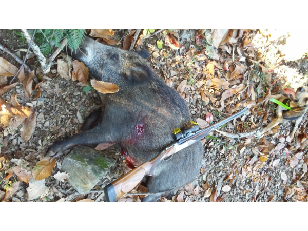 Cherche Express BLASER S2 dans tous calibres