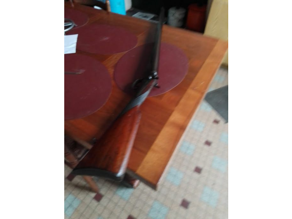 calibre 10 a chien