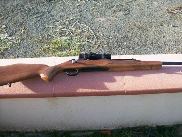 carabine 300 wing mag