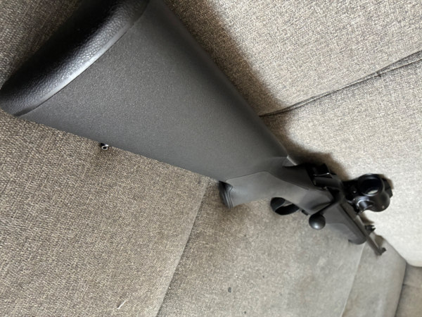 Blaser r8 avec point rouge RD20