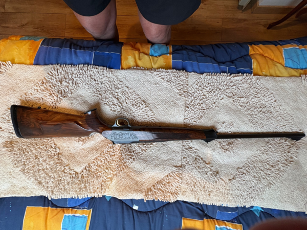 Blaser r8 luxe gravé 300 wm