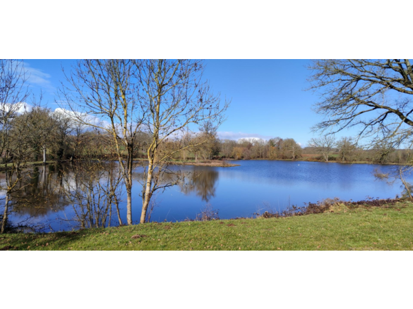 Domaine de 9.4 ha avec étang de 3 ha – Bâti important - Fort potentiel pêche / chasse