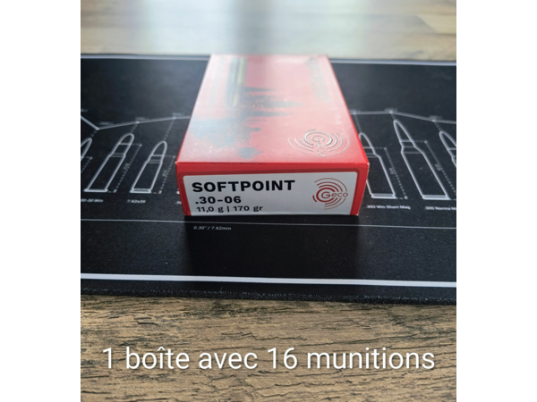 Lot de Geco Softpoint cal. 30-06 11.0g / 170 gr