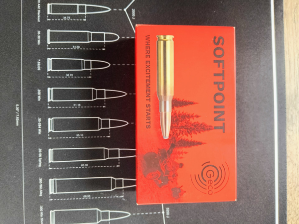 Geco Softpoint .308 11,0g / 170 gr