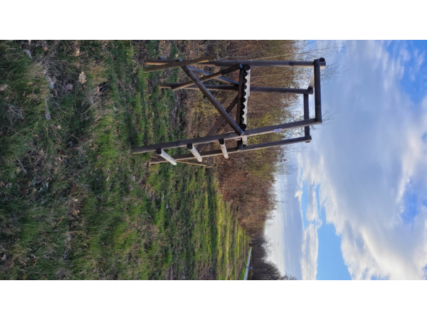 Chasse en Forêt des Bertranges (58)