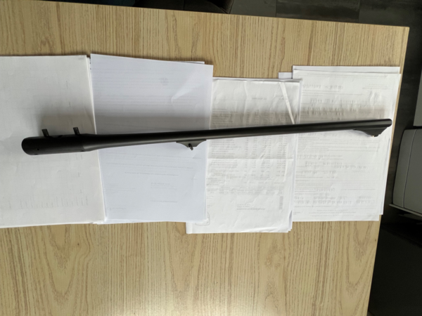 Canon blaser r8 8x68s