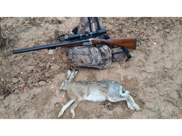 Cherche un Drilling UNIQUEMENT dans un tous petit calibre