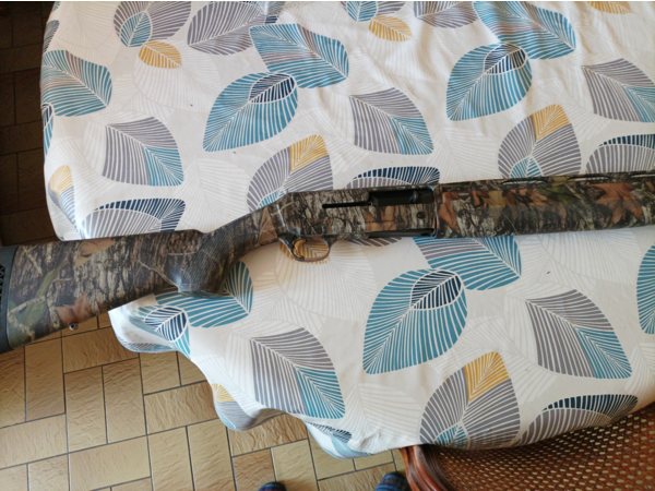 BROWNING PHOENIX 12/89