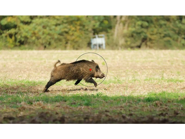 Chasse à louer