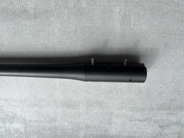 Canon blaser r8 8x68s