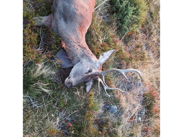 Tombola Acca de BOutx