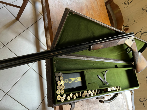 Rizzini omnion light