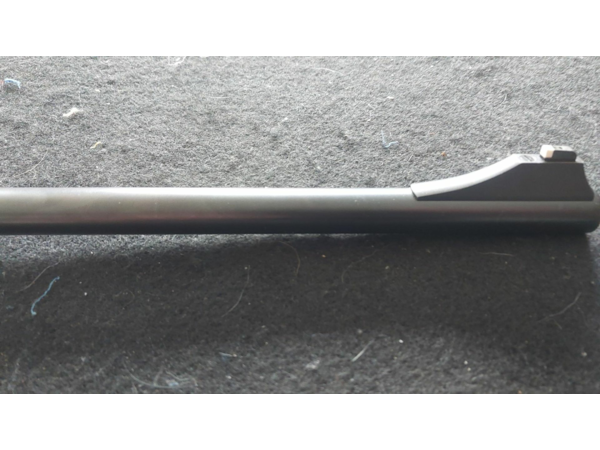 Canon 300wm blaser r8