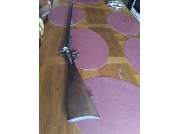 calibre 10 a chien