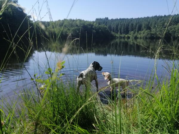 Action chasse Corrèze Haute-Vienne