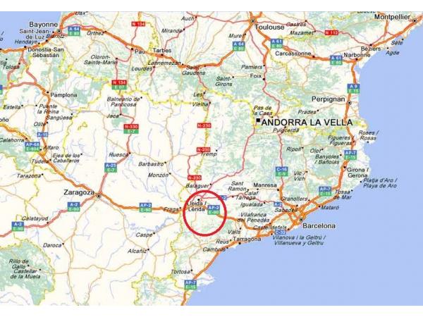 Perdix rouges devant soi au chien d´arrêt. Catalogne nord.ouest