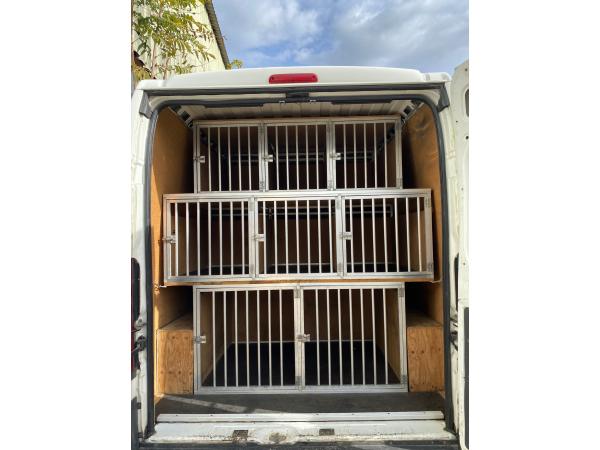 Cages de transport pour chiens
