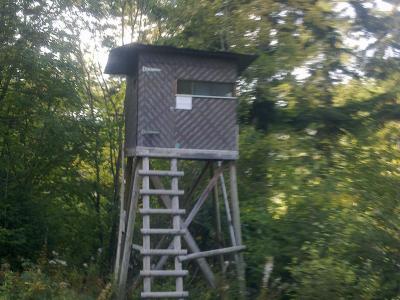 Action chasse