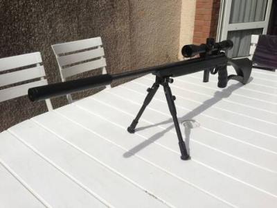 22lr Mosseberg