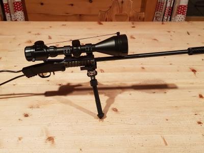Chiappia little badger 22lr