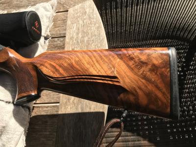 Blaser r8  luxe