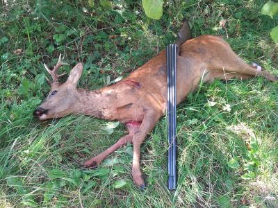Chasse familiale
