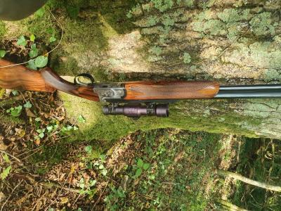 Express vouzelaud 9.3x74r