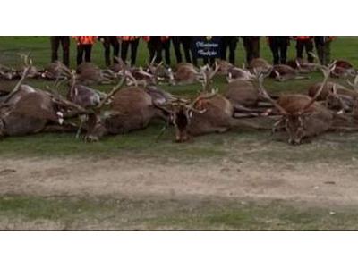WEEK END CHASSE PORTUGAL